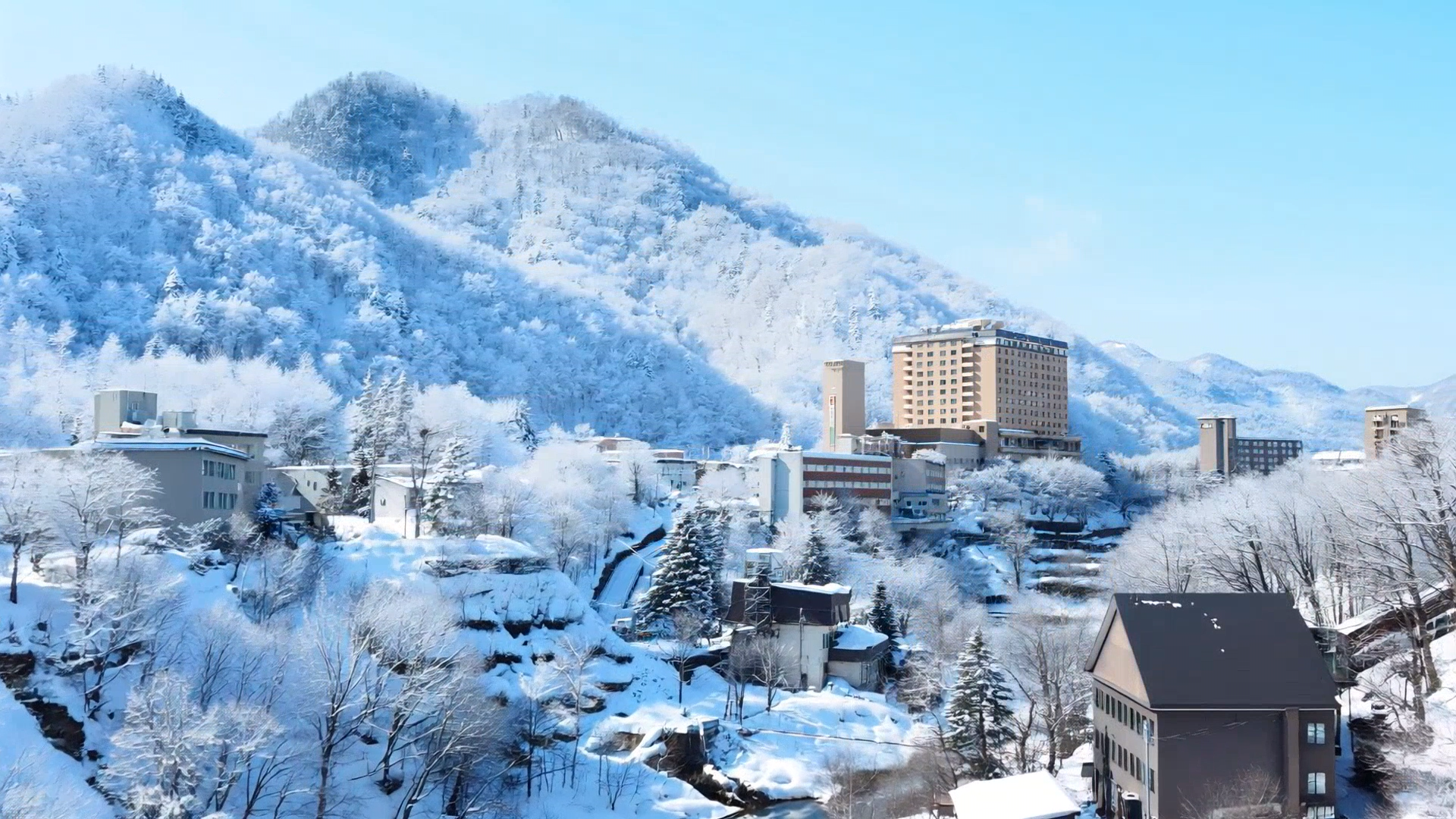 1229 북해도 기획전 이미지 .png